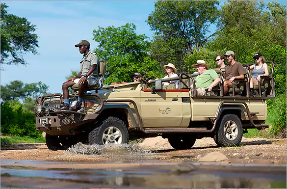 LUXURY Big 5 Safari vacations in Kruger Park