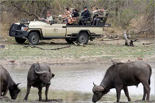 Mohlabetsi Safari Lodge greater kruger park 