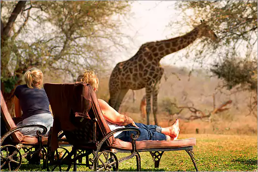 Mohlabetsi Safari Lodge balule game reserve