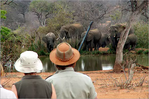 Mohlabetsi Safari Lodge greater kruger park 