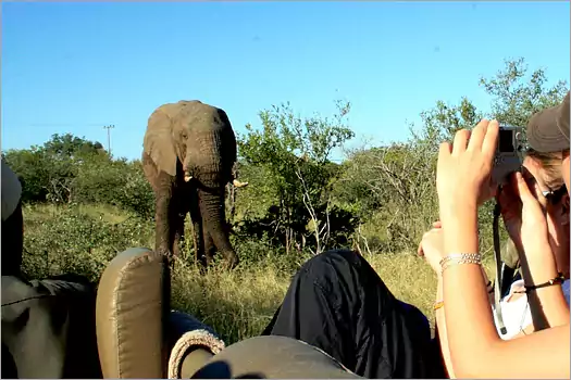 Mohlabetsi Safari Lodge Balule reserve