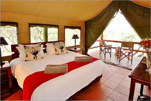 Sausage Tree safari camp african tented accommodation