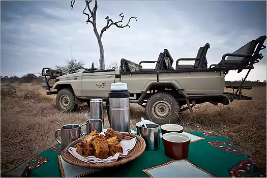 Sausage Tree Safari Camp private game lodge