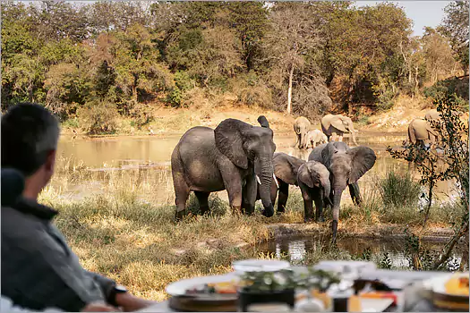 Simbavati River Lodge