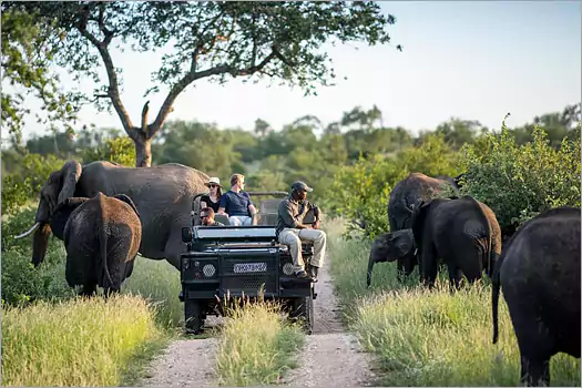 Simbavati Hilltop Lodge