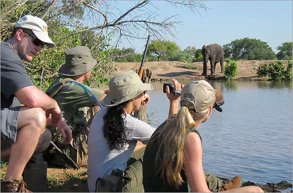 LUXURY Big 5 Safari vacations in Kruger Park