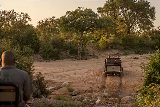 Bateleur SAfari Camp