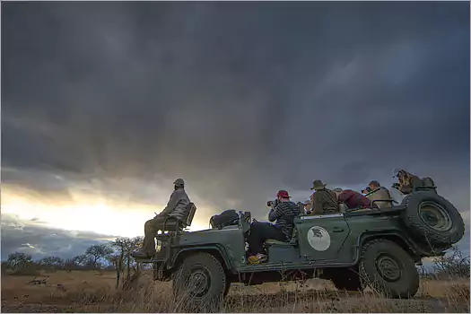 Big 5 Safari drives at Bateleur