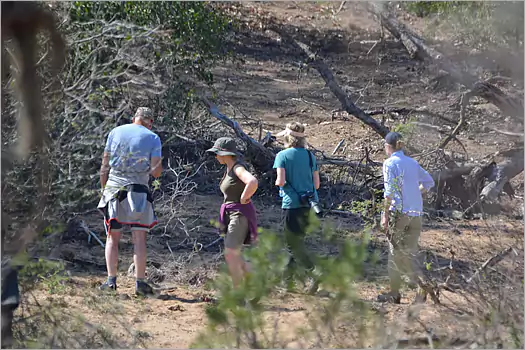 Big 5 Safari walks at Bateleur