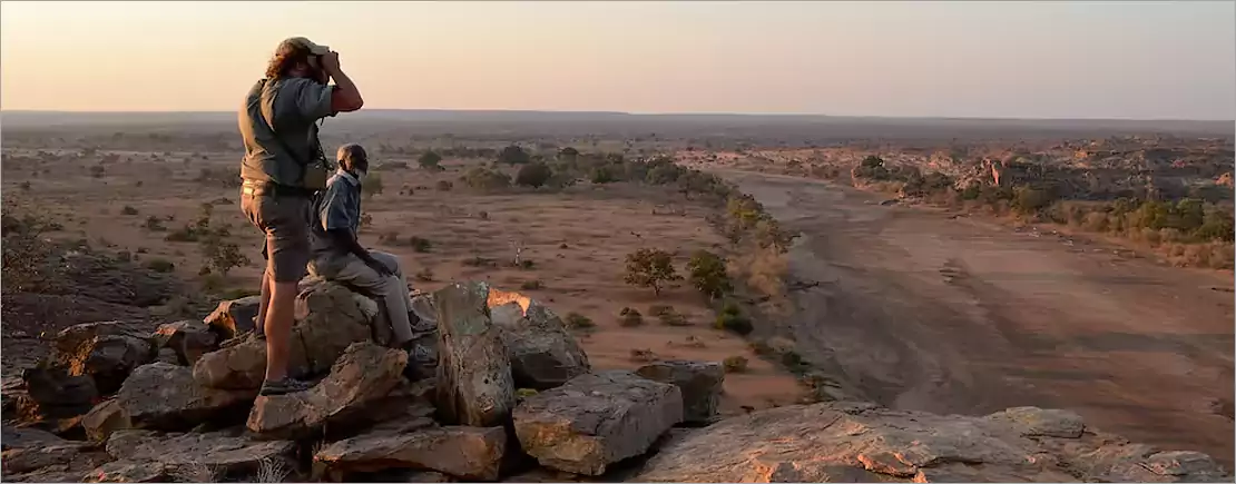 Kruger Park ecosystem