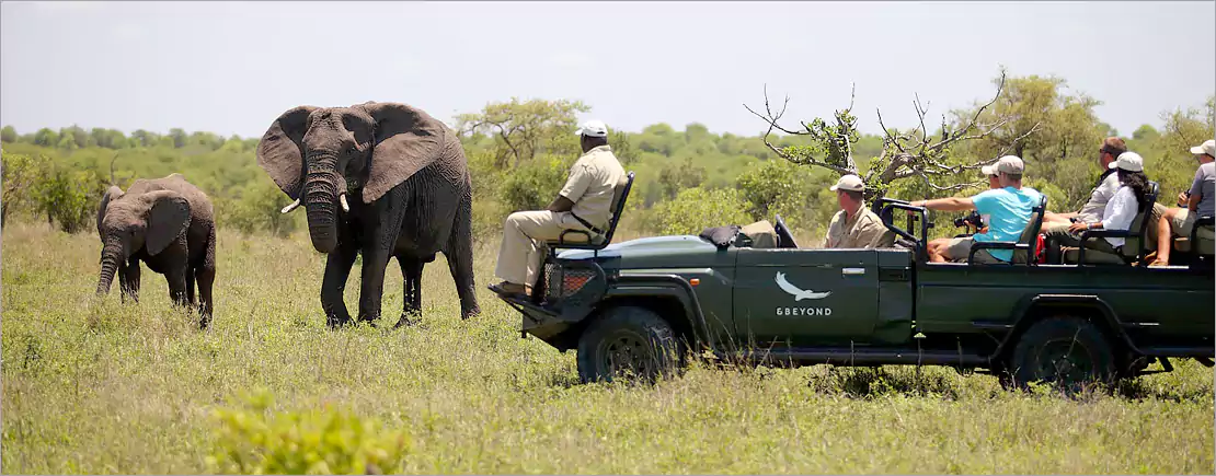 Kruger Park ecosystem