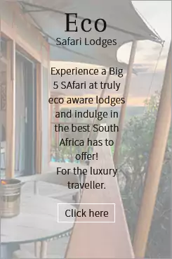 Eco Safari Lodges in Kruger Park