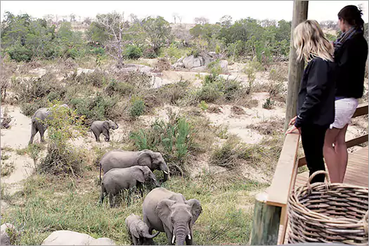 Londolozi Private Game Reserve