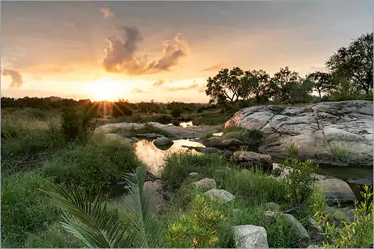 Londolozi Private Game Reserve