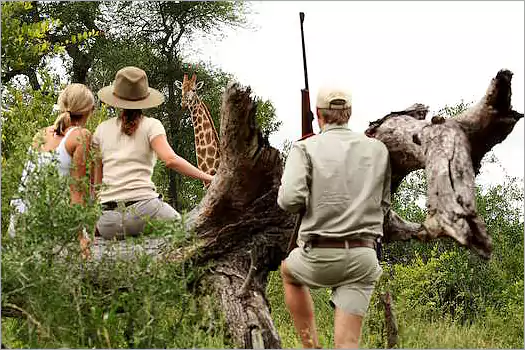 Game walks are encouraged