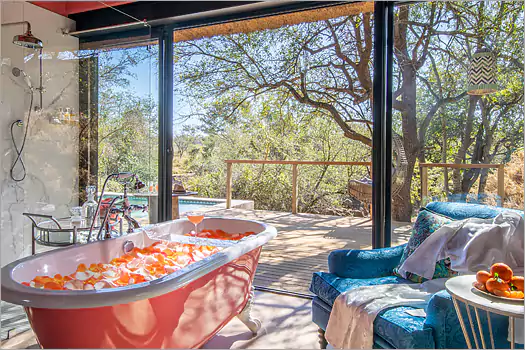 Royal Malawane,Indulge in sheer luxury in wild Africa